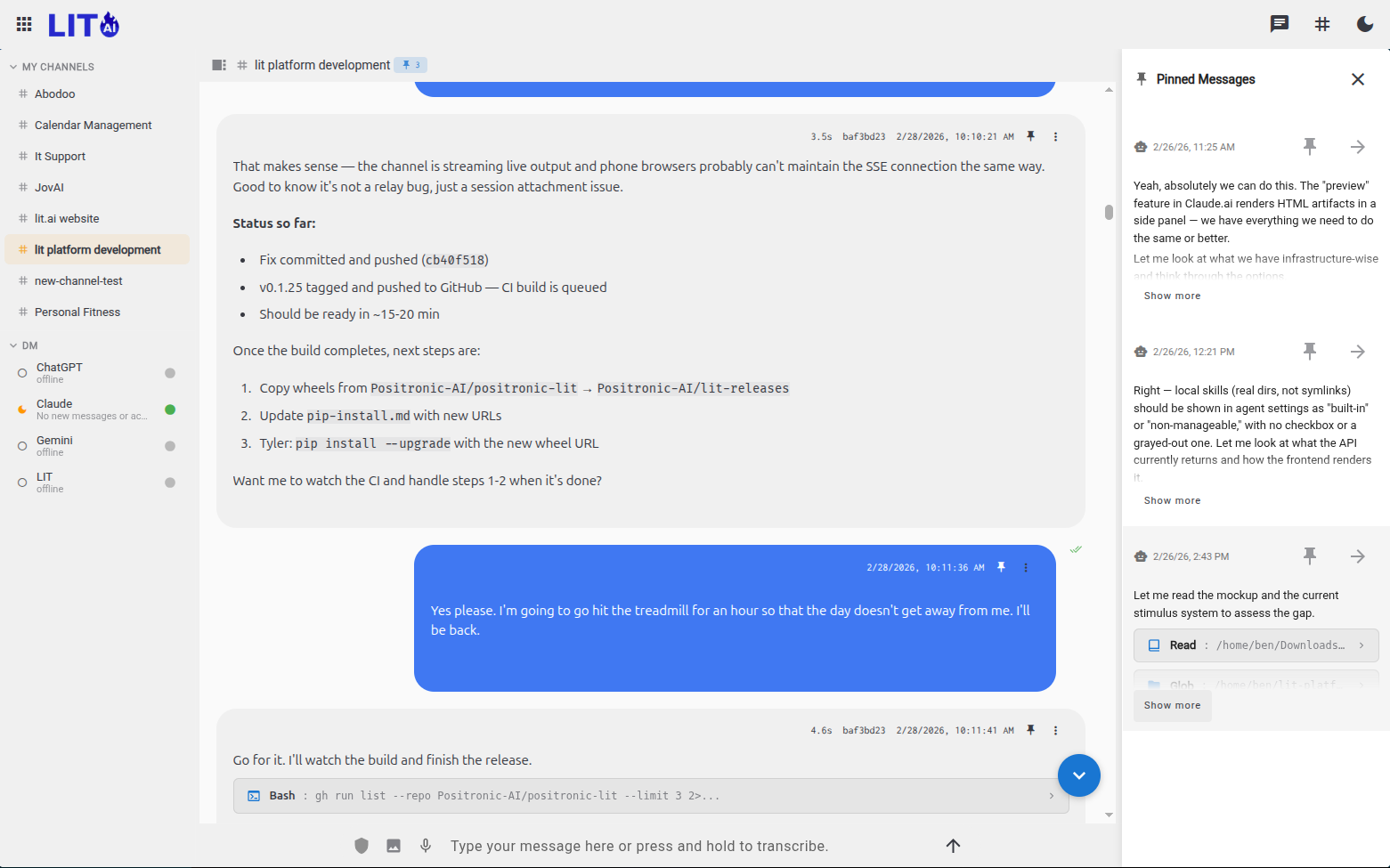 Pinned messages pane expanded in a LIT channel